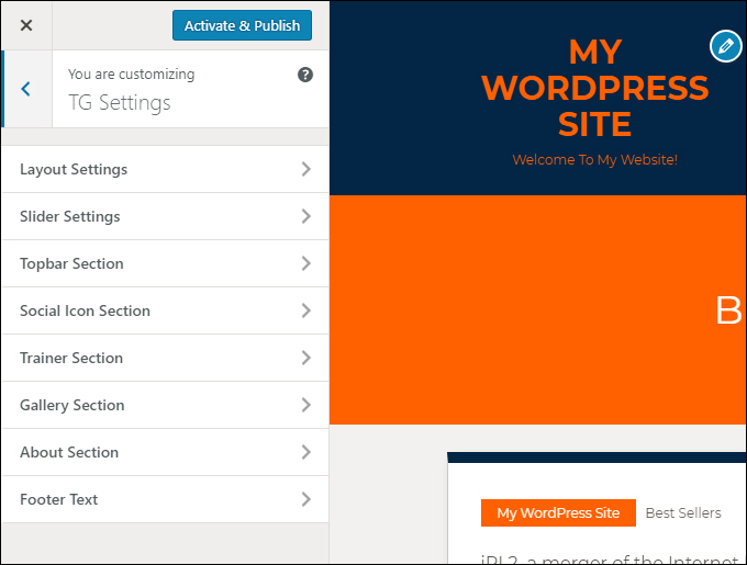 WordPress Theme Customizer menu items add new theme options and settings