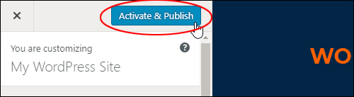 Click 'Activate & Publish' to change themes