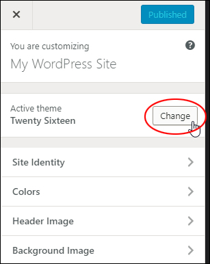 WordPress Theme Customizer menu - Active theme section