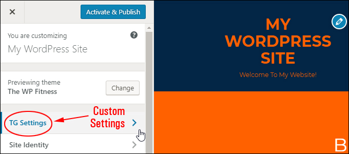 New WordPress themes can add new custom settings to the Customizer menu