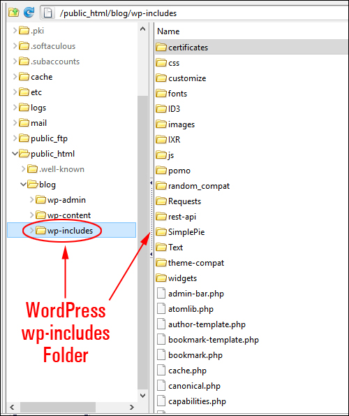 WordPress wp-includes folder