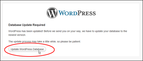 WordPress Database Update Required